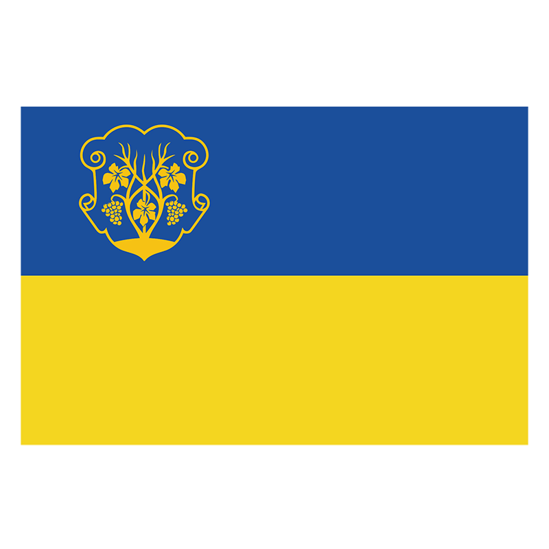 Настольный флажок Ужгорода